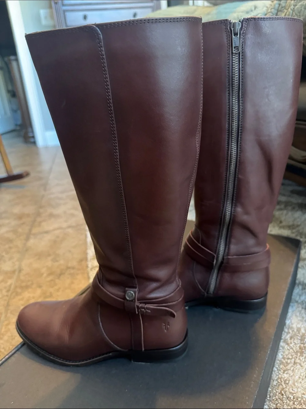 Frye Women's Melissa Belted Tall Riding Boots in Dark Brown Leather